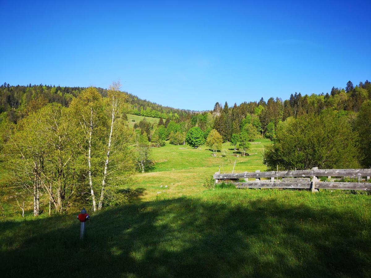 Menzenschwand-HinterdorfB4 Albmatte公寓 外观 照片