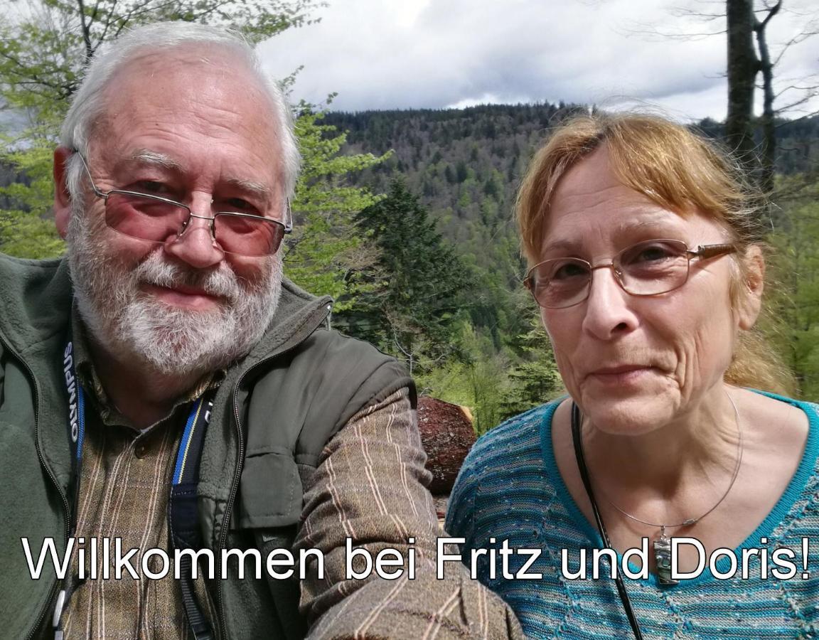 Menzenschwand-HinterdorfB4 Albmatte公寓 外观 照片