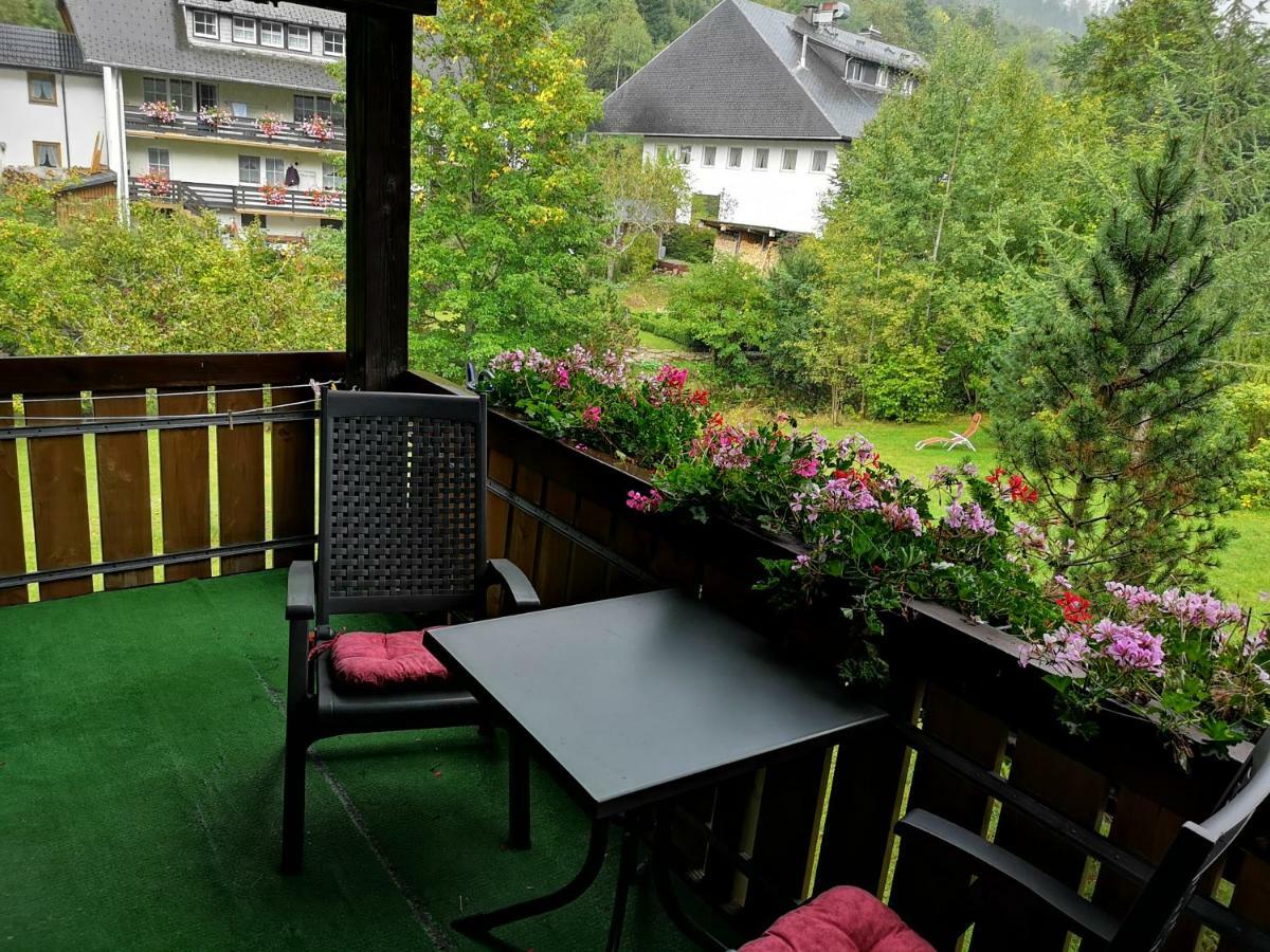 Menzenschwand-HinterdorfB4 Albmatte公寓 外观 照片