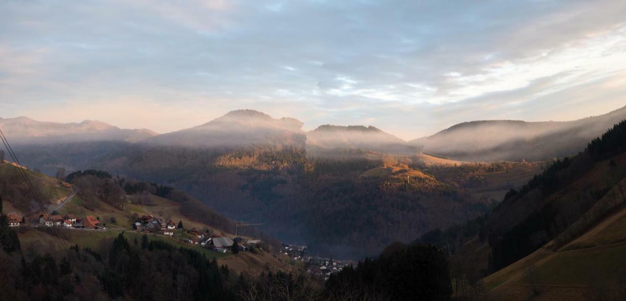 Menzenschwand-HinterdorfB4 Albmatte公寓 外观 照片